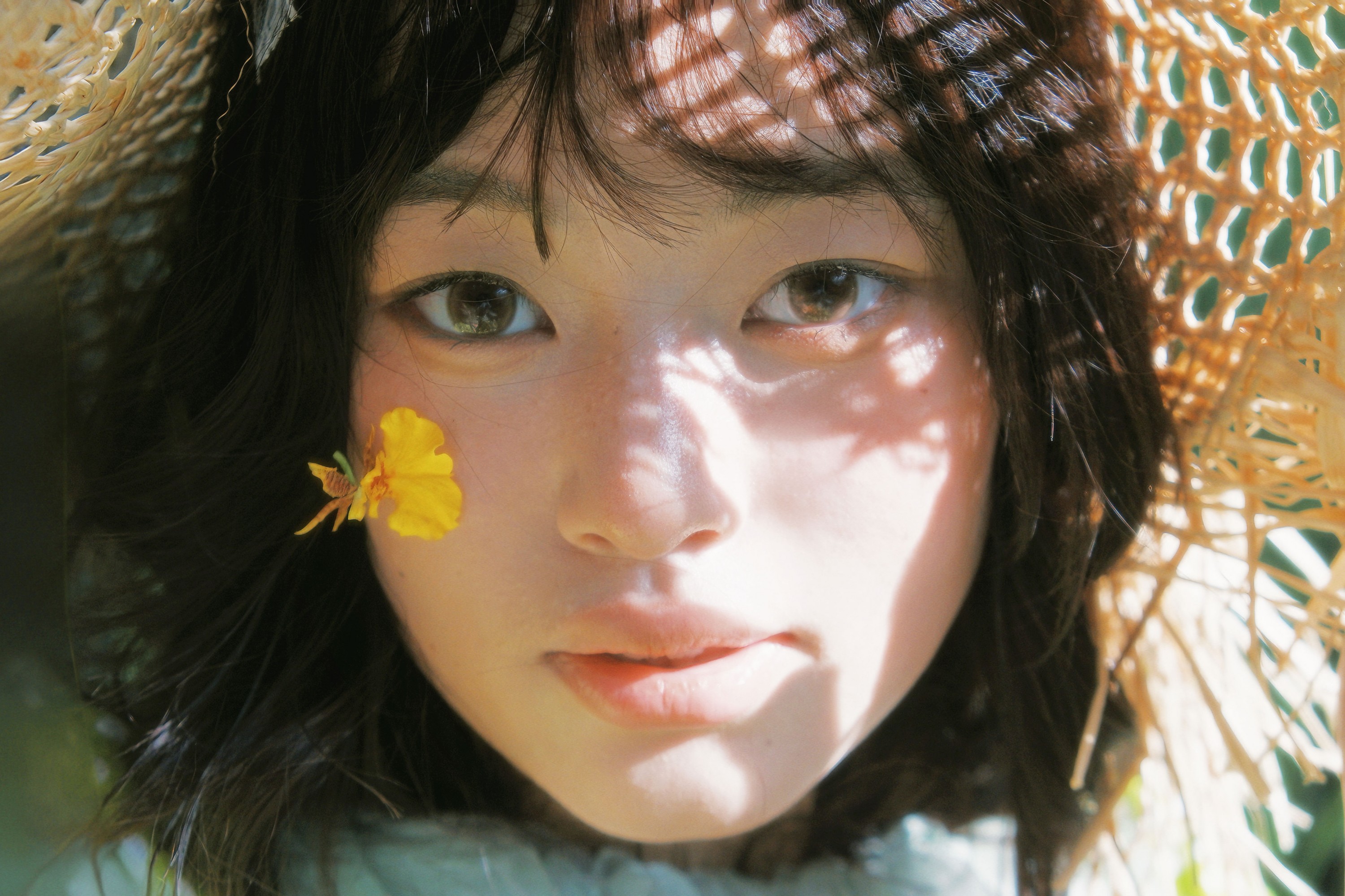 – 《我可否將你比作一個夏日》[10P]