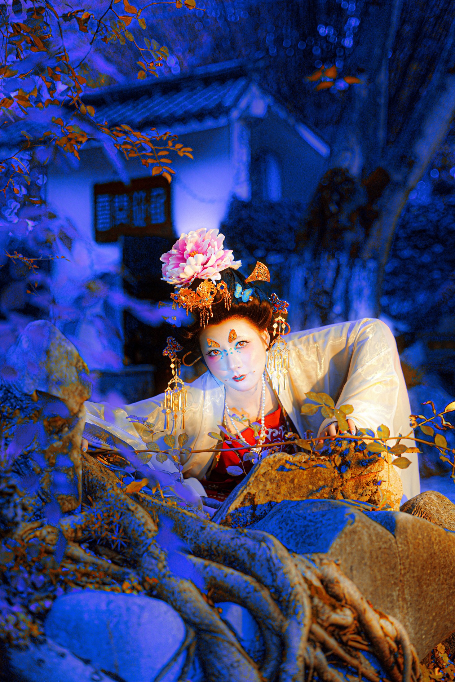 喜鸢 – 《蝶妖飞升》[10P]