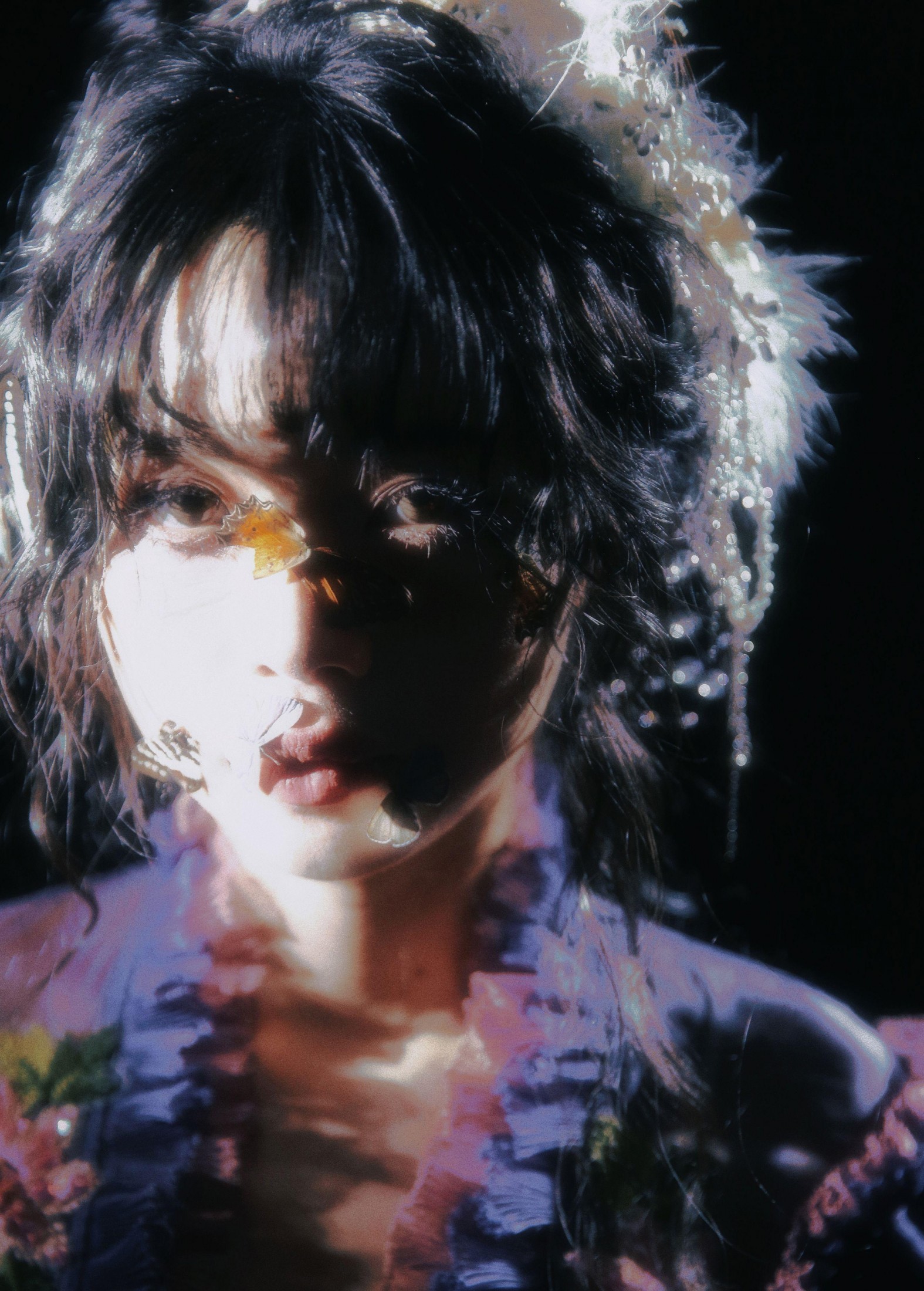 – 《蝴蝶》[9P]