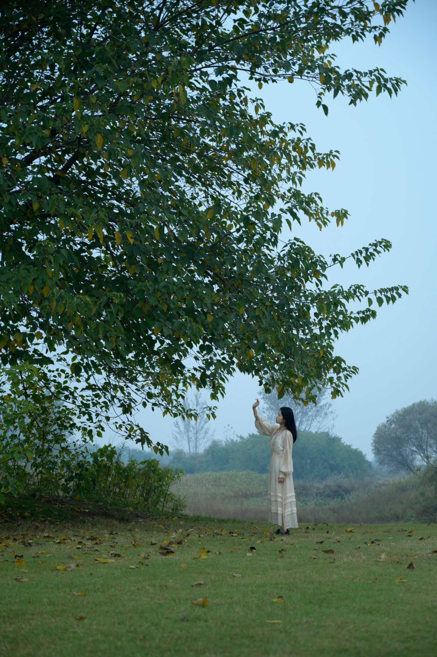 – 《风雨欲来》[15P]