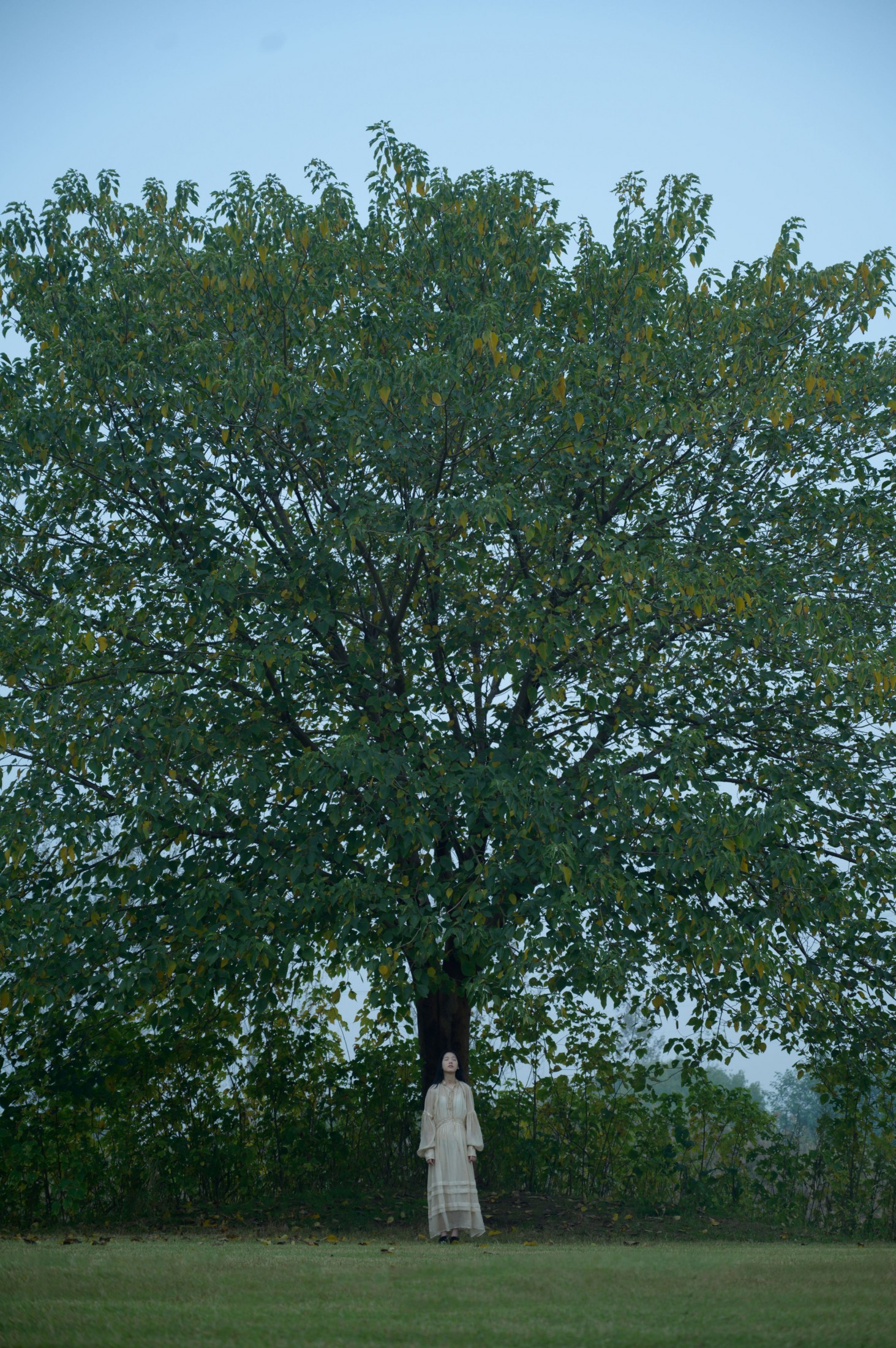 – 《风雨欲来》[15P]