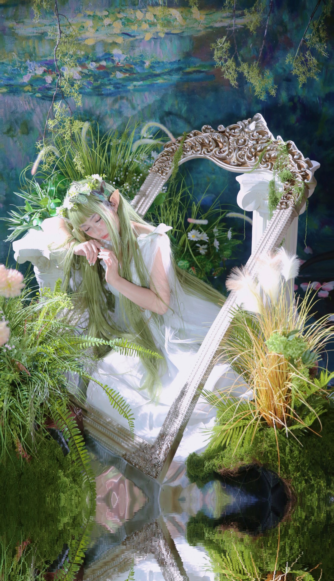 – 《绿野仙踪》[10P]