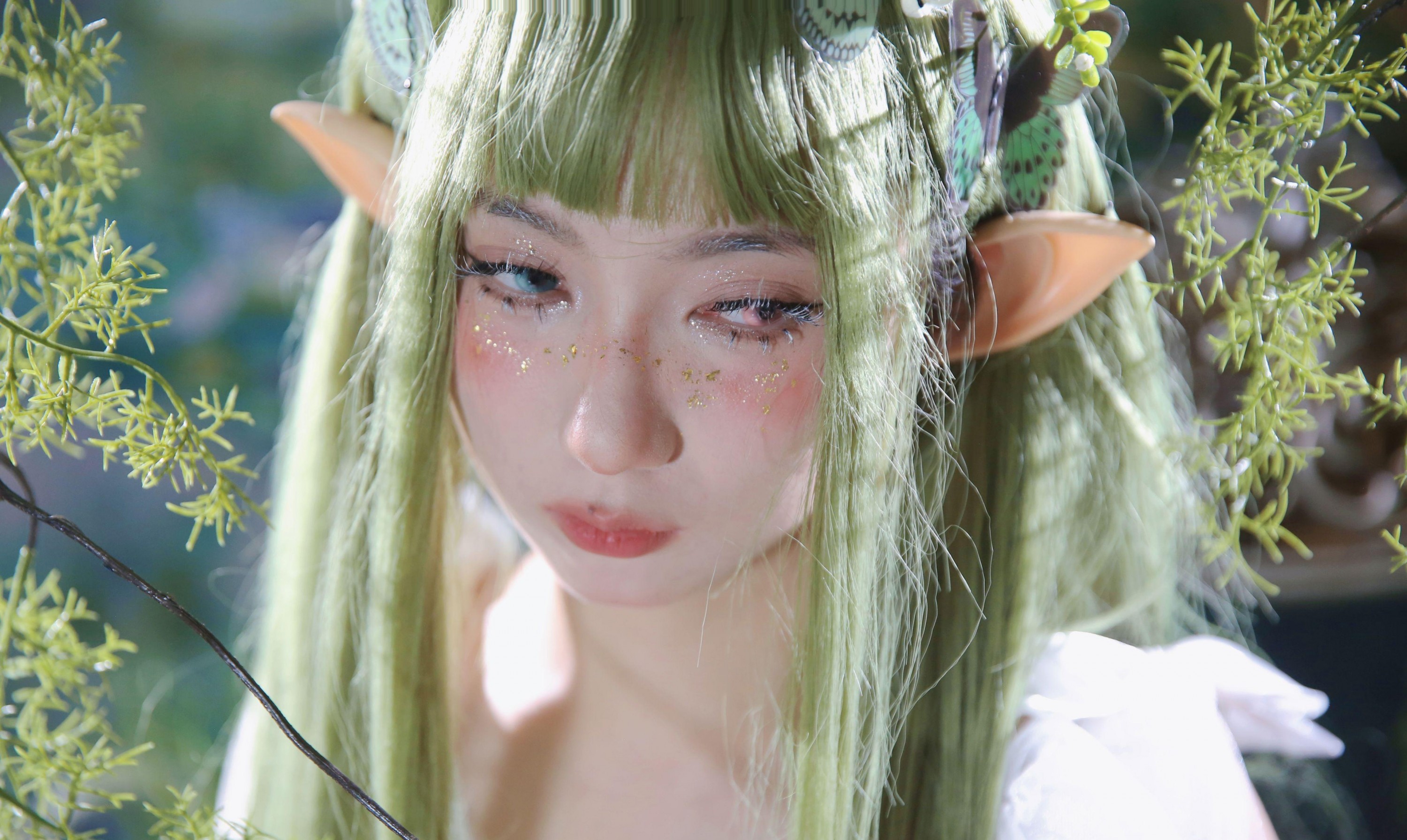 – 《绿野仙踪》[10P]