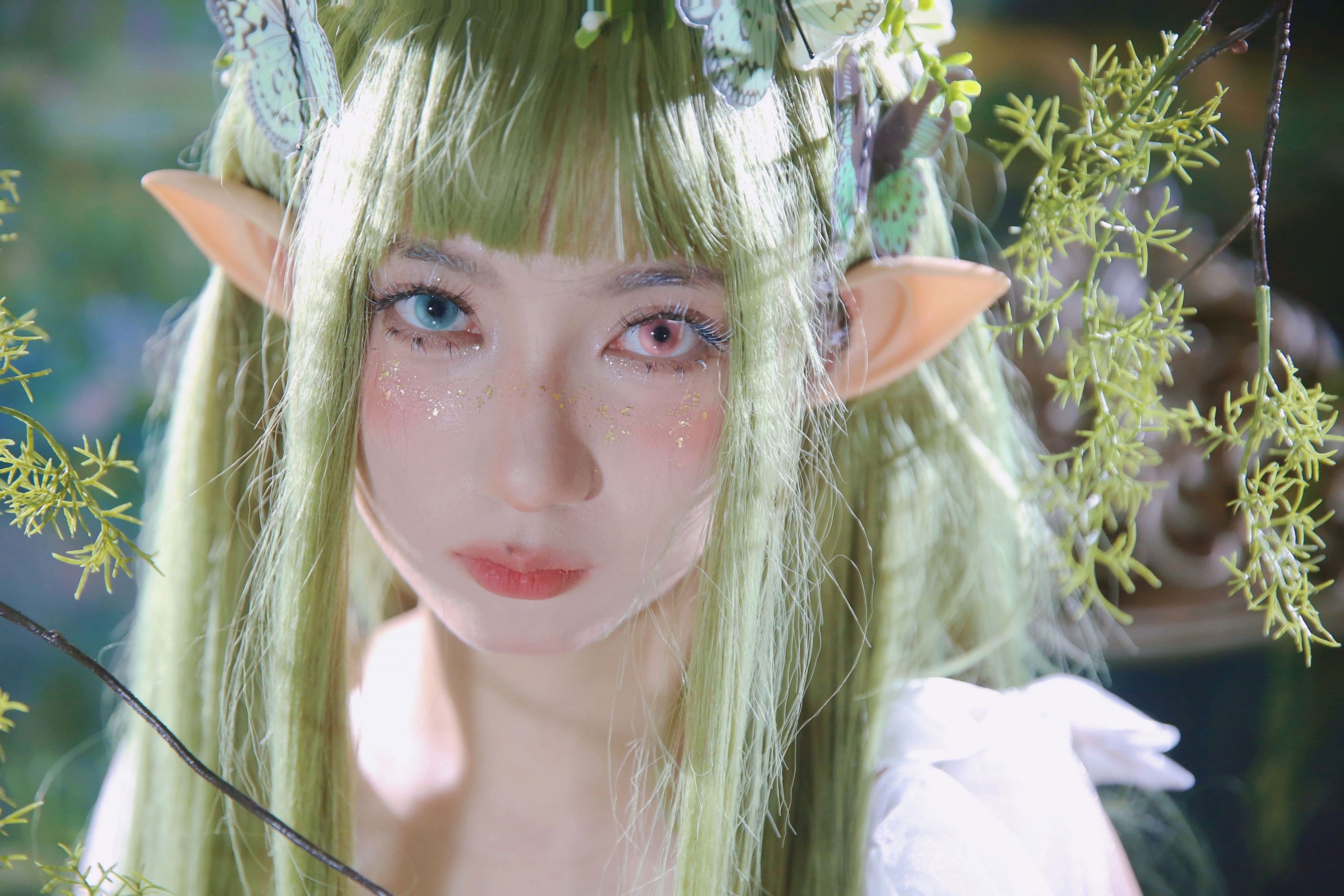 – 《绿野仙踪》[10P]