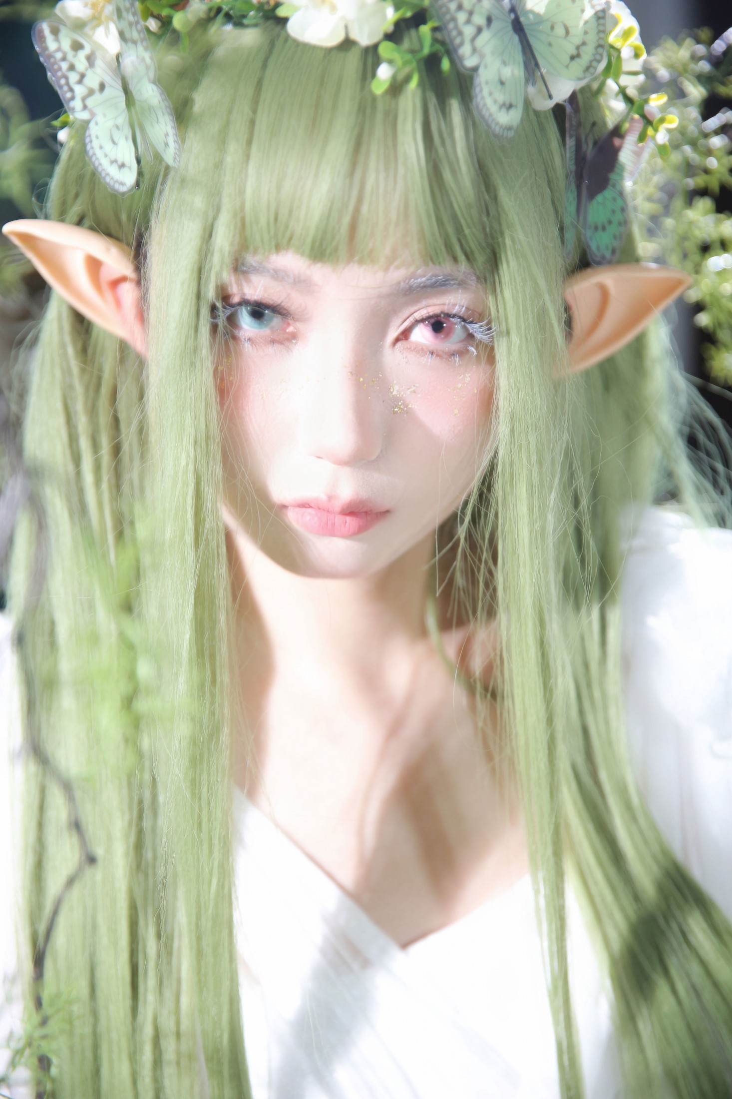 – 《绿野仙踪》[10P]