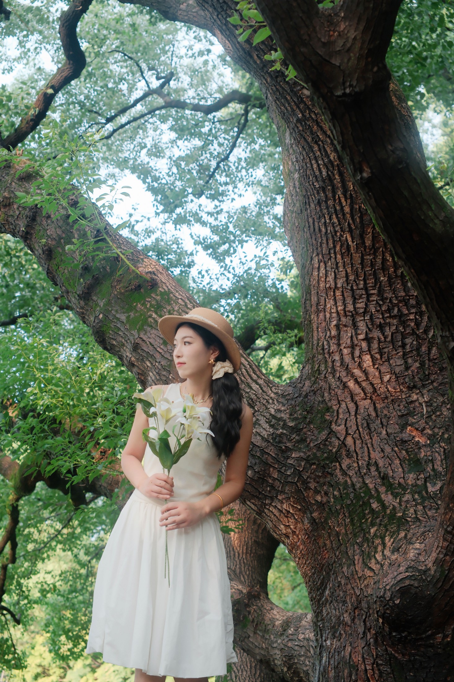 十七的猫 – 《在百年香樟树下》[9P]