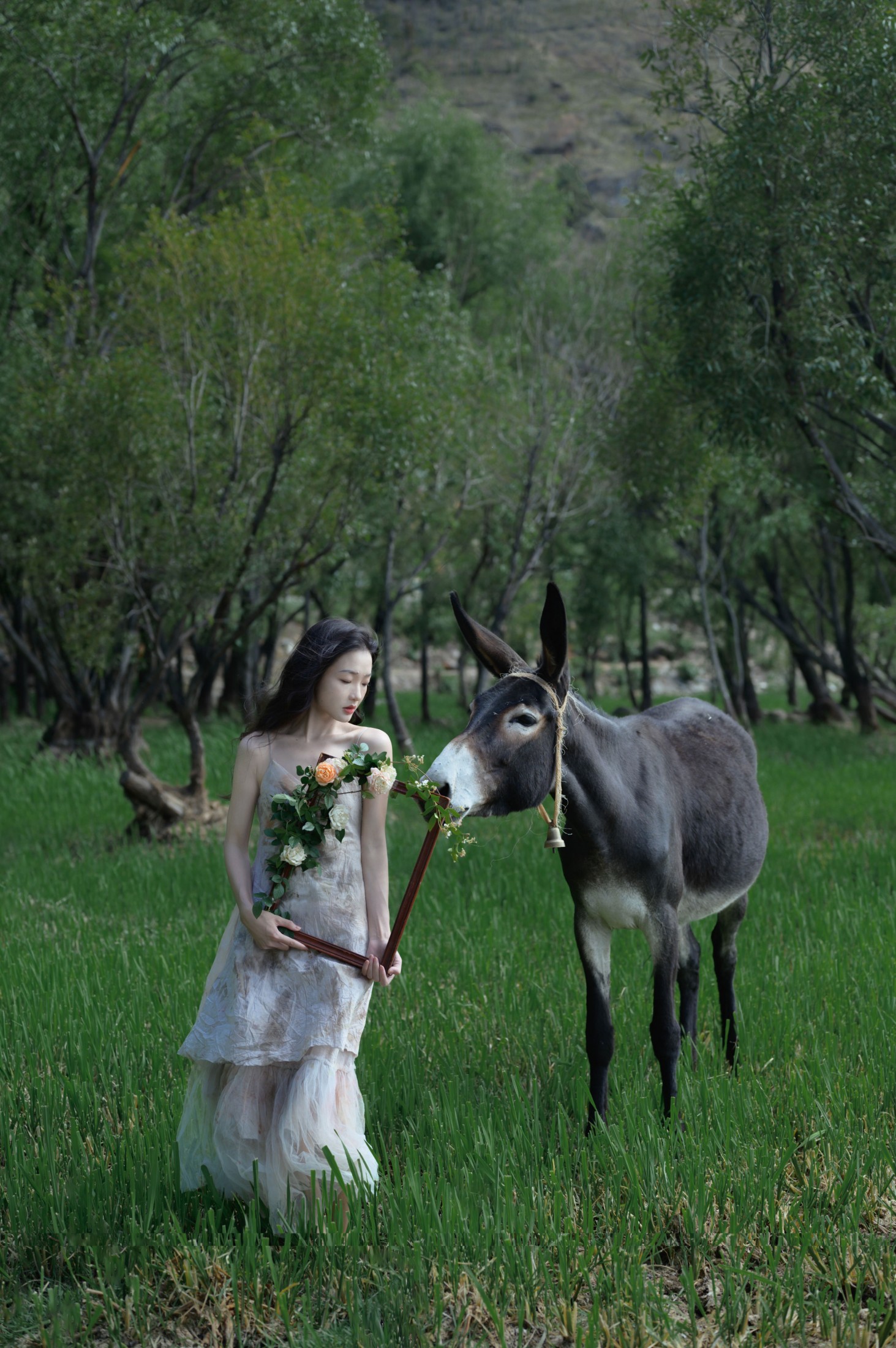 – 《等风来》[18P]