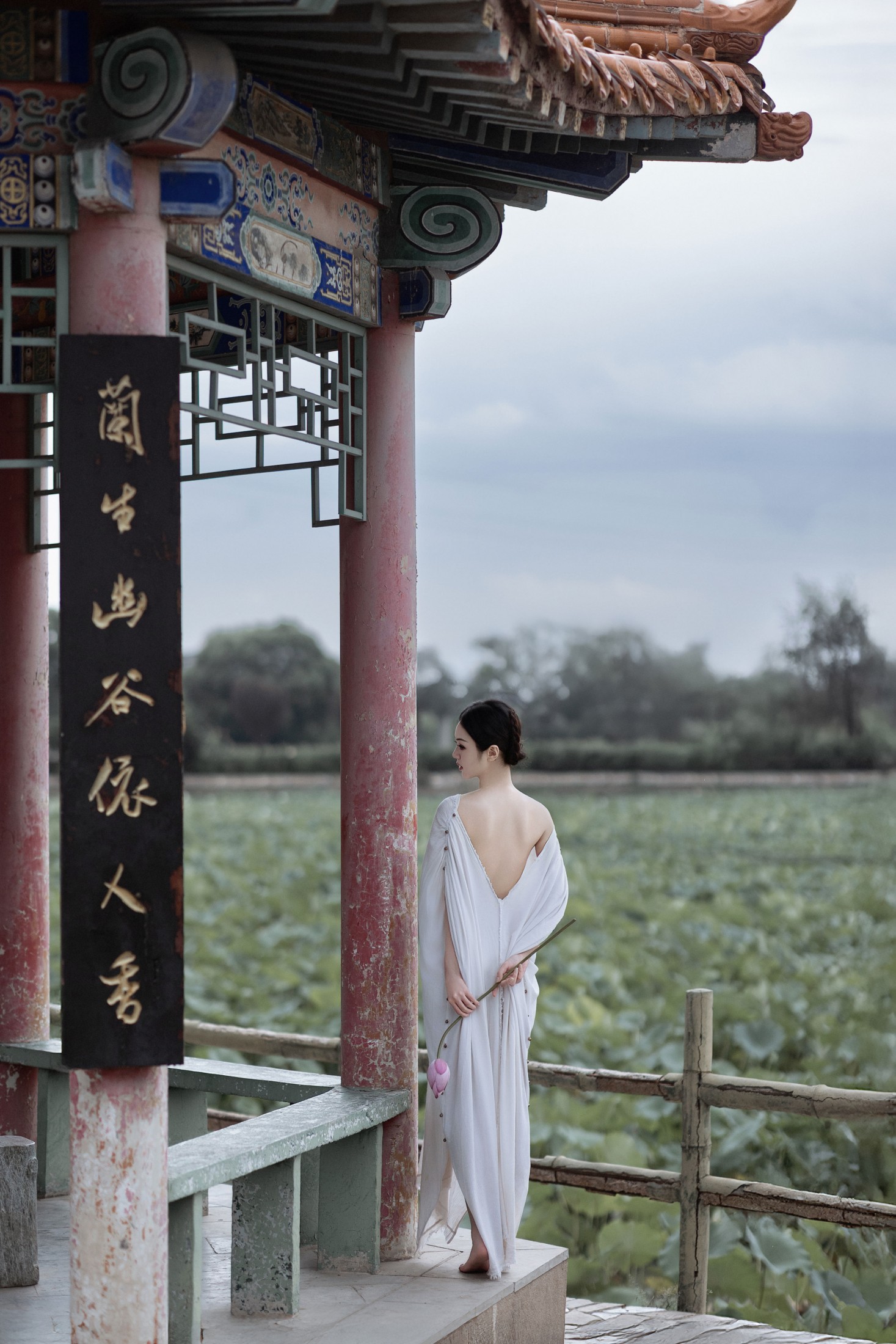 豆芽好运来 – 《素荷》[14P]