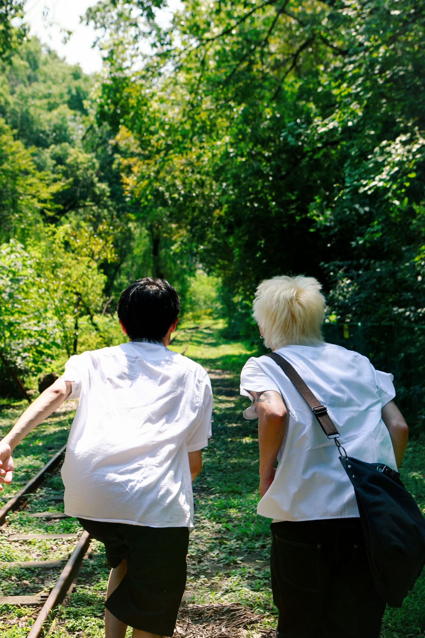 不是左右 我是鱼饼 – 《第三个夏天》[15P]