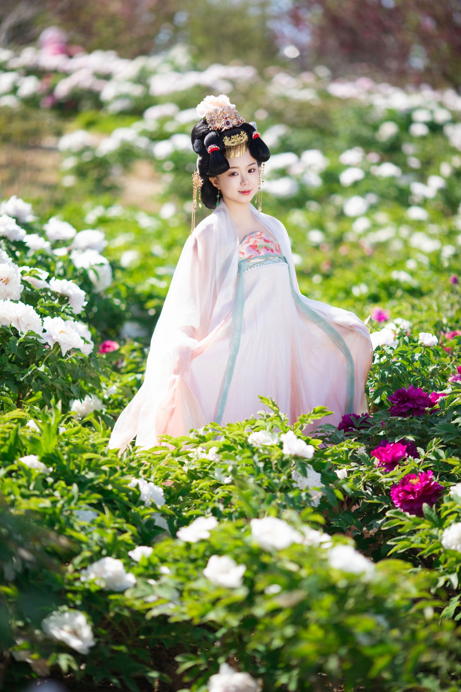 – 《花宴唐韵：盛世红颜的花间行》[16P]