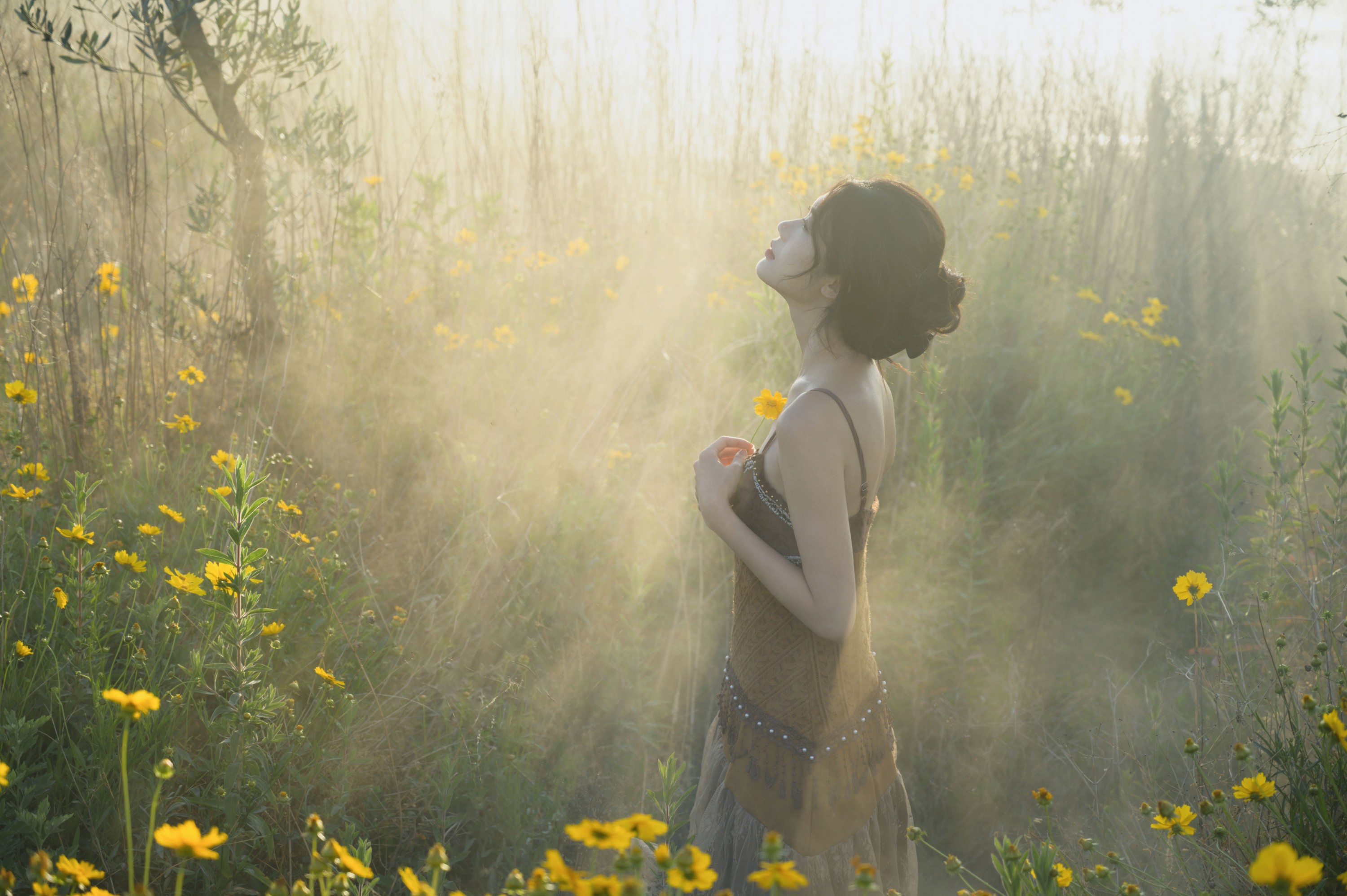 – 《大理》[15P]