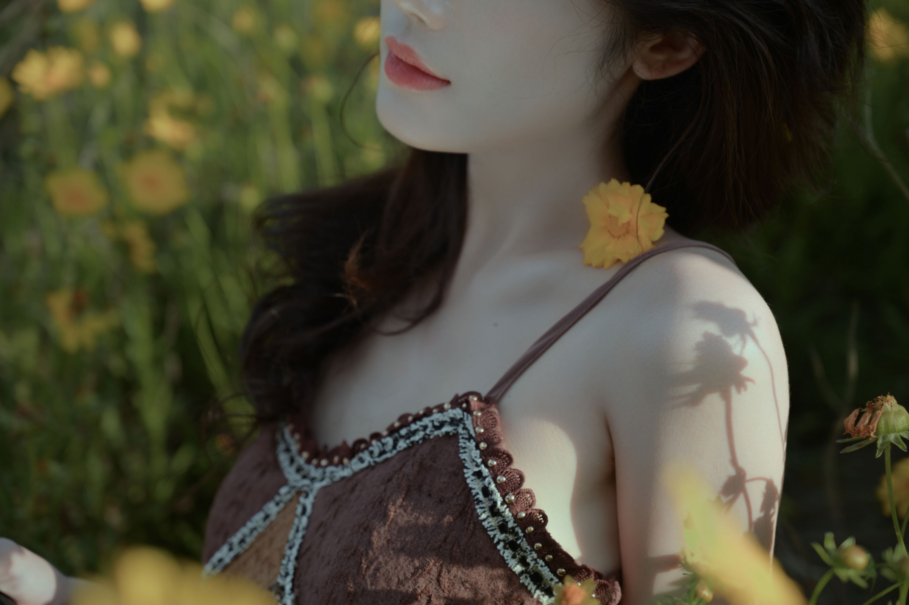 – 《大理》[15P]