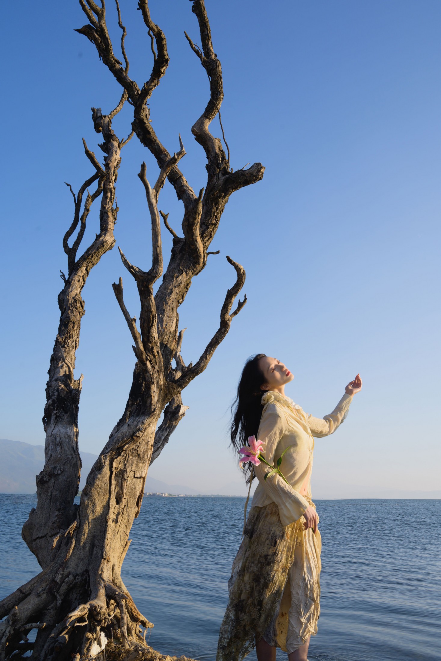 – 《洱海》[16P]