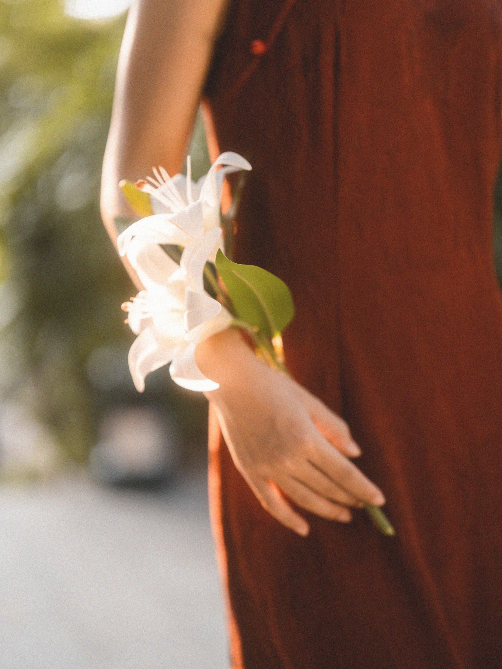 禾里雪 – 《国之红》[11P]