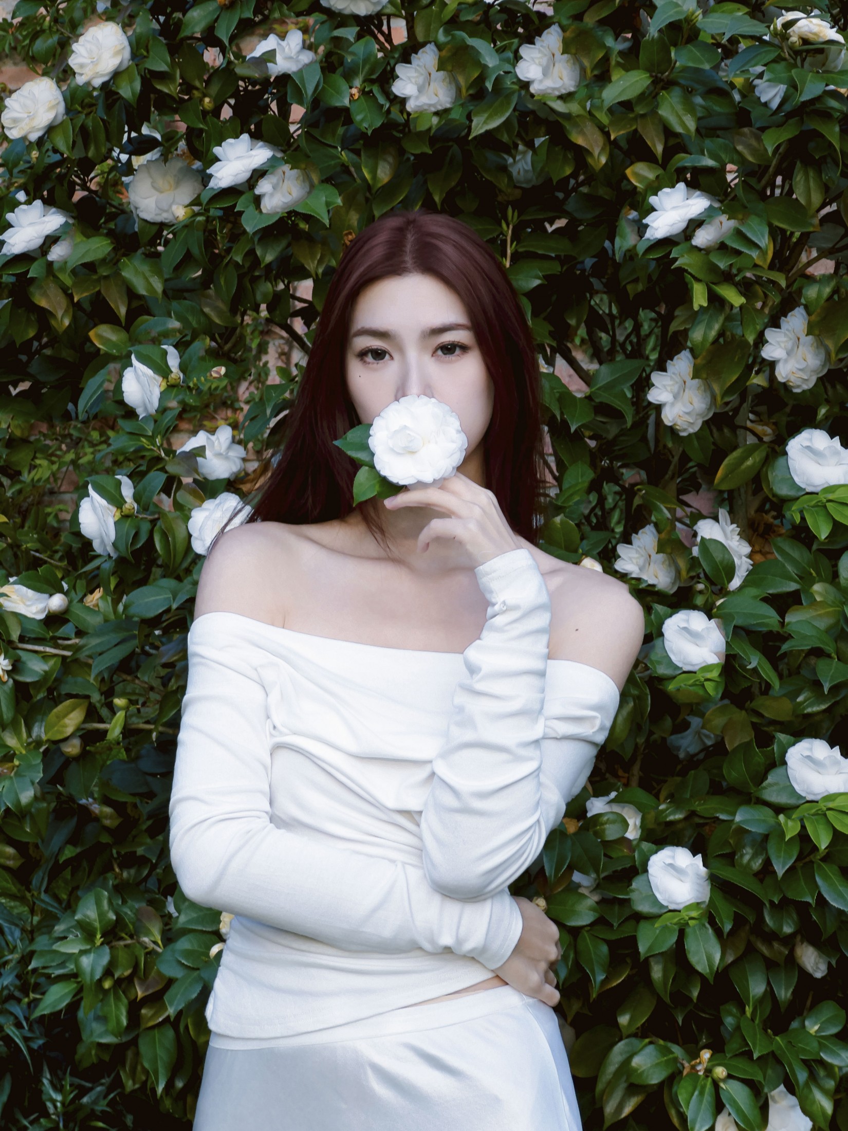 李萍 – 《Camellia》[20P]