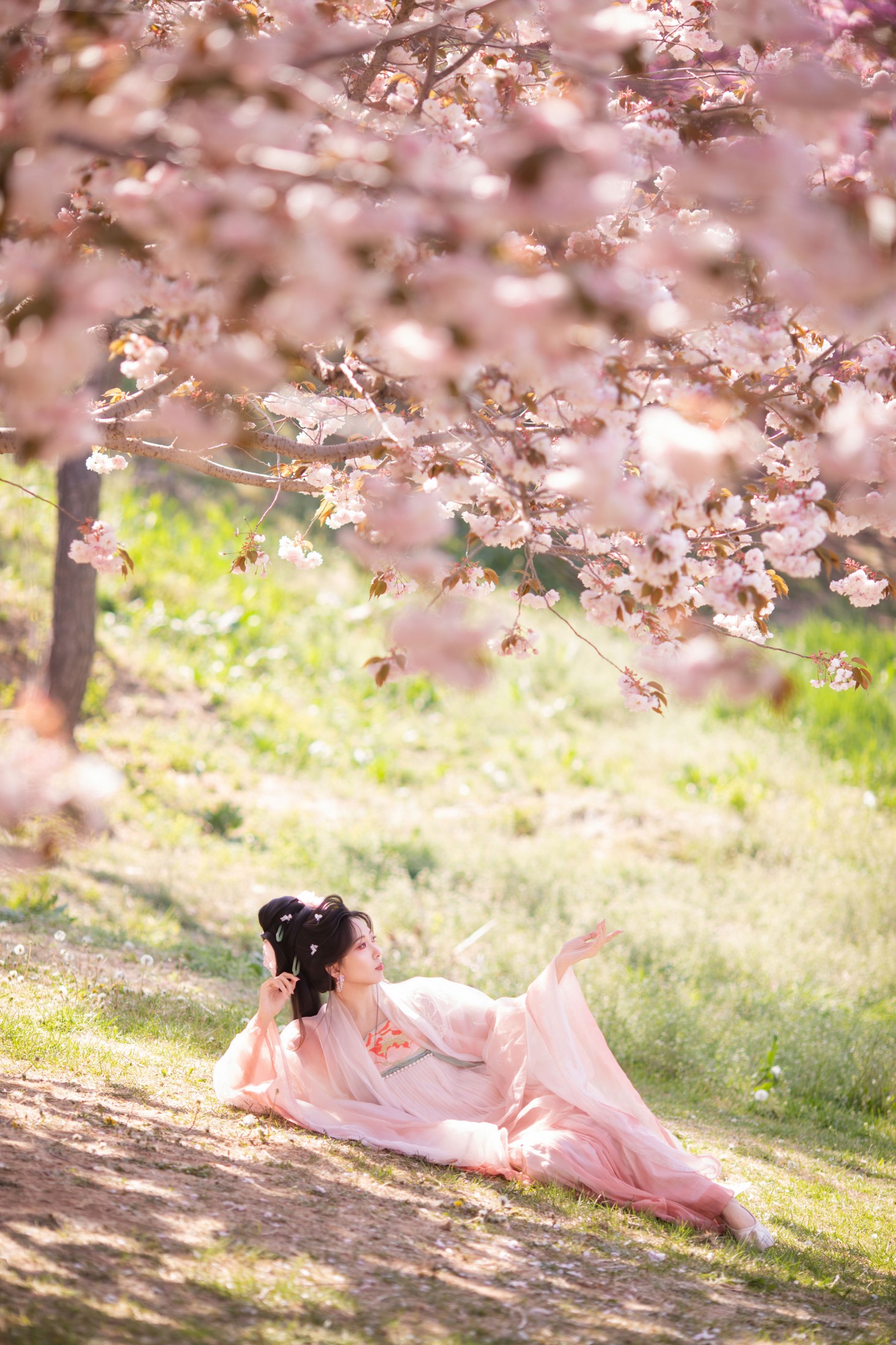 – 《樱园赋·国风少女与花共眠》[16P]