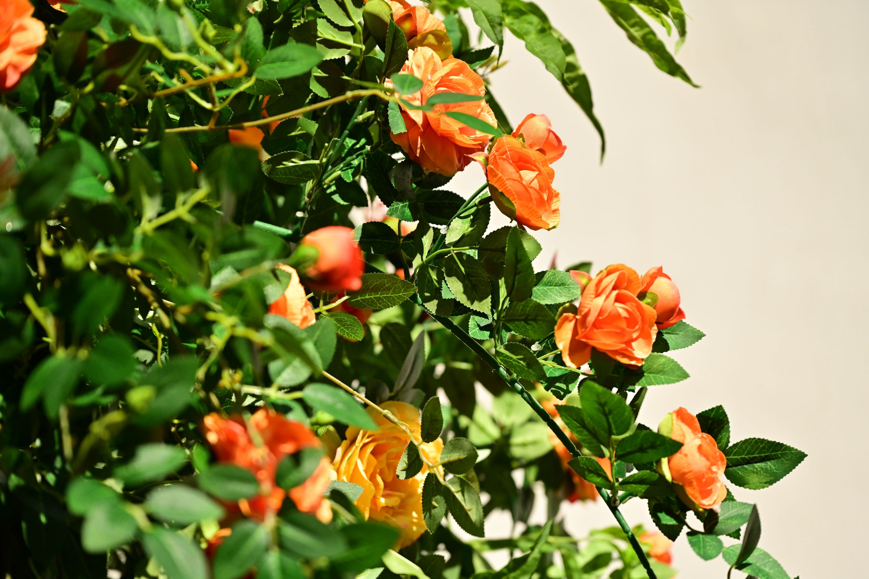 – 《绿意重渡沟》[10P]