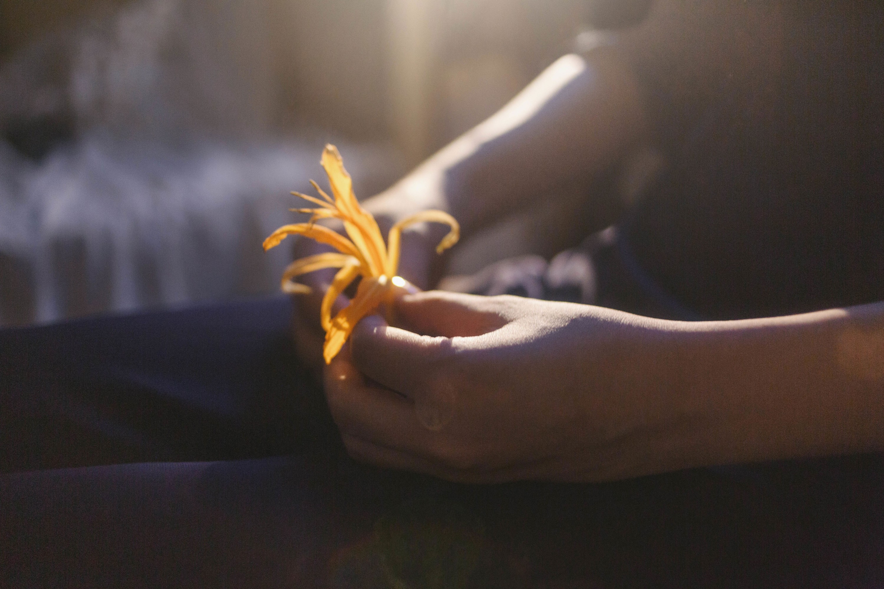 – 《词不达意》[15P]