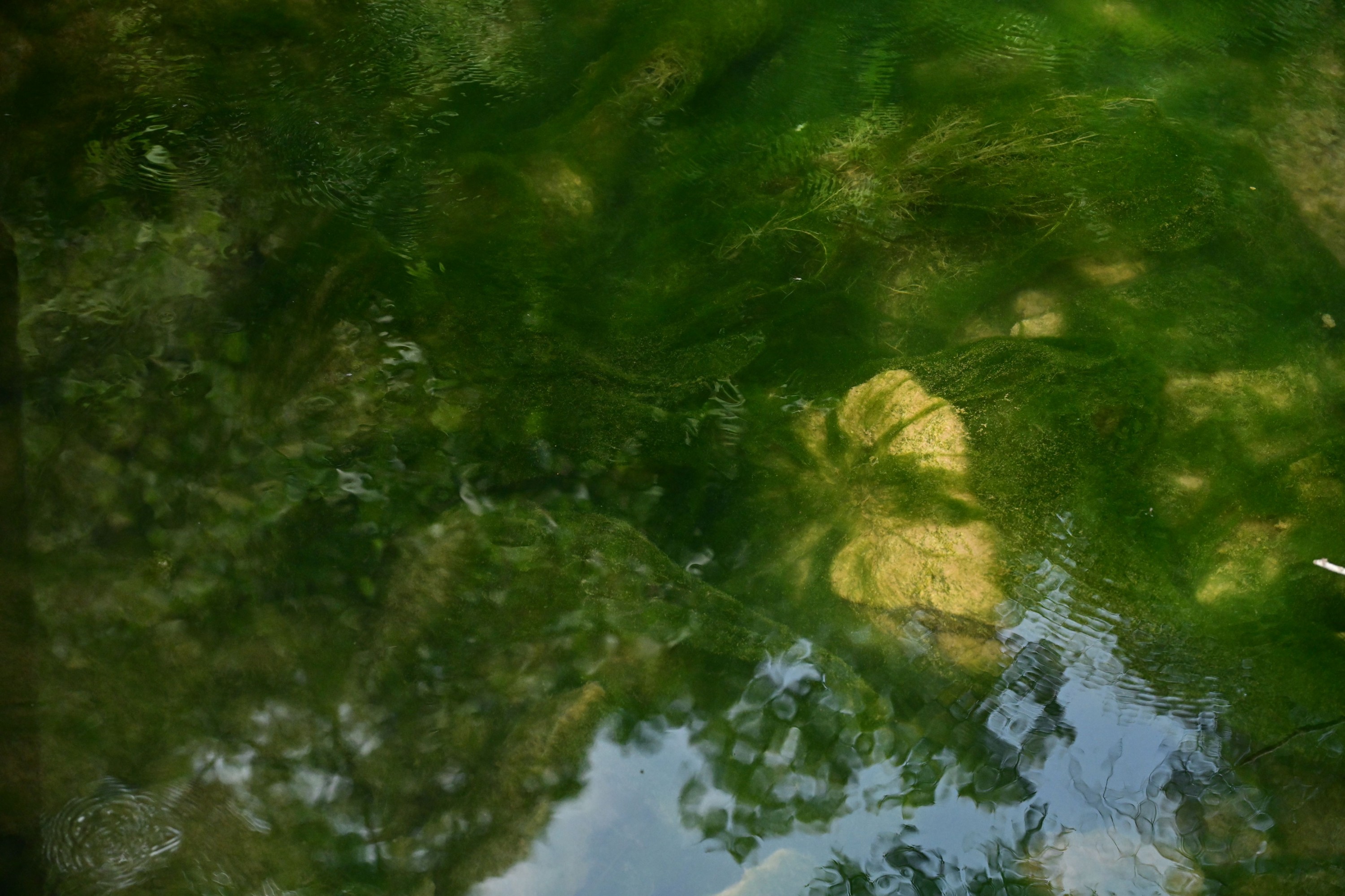 – 《山西长治青龙峡》[10P]