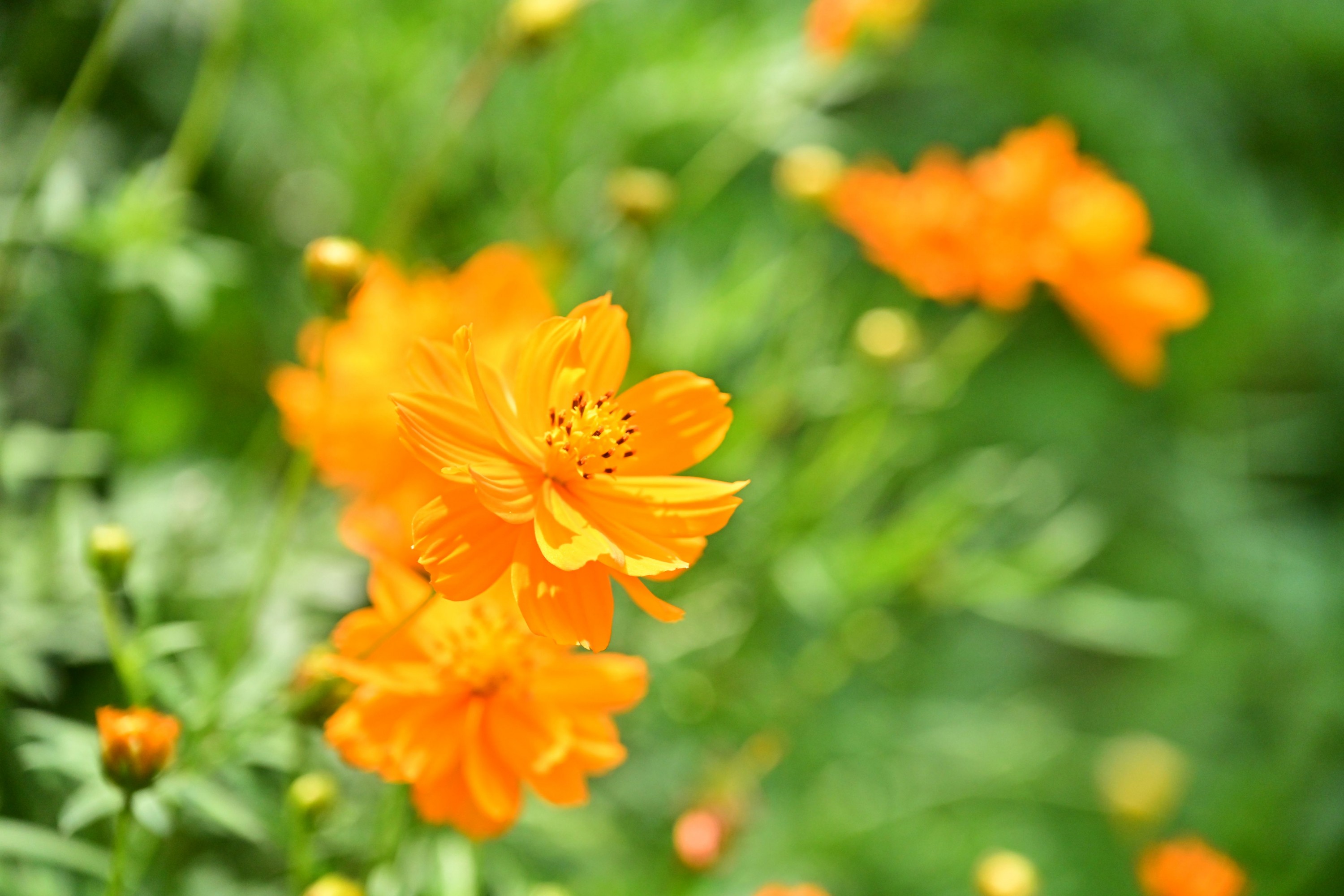 – 《山西长治青龙峡》[10P]