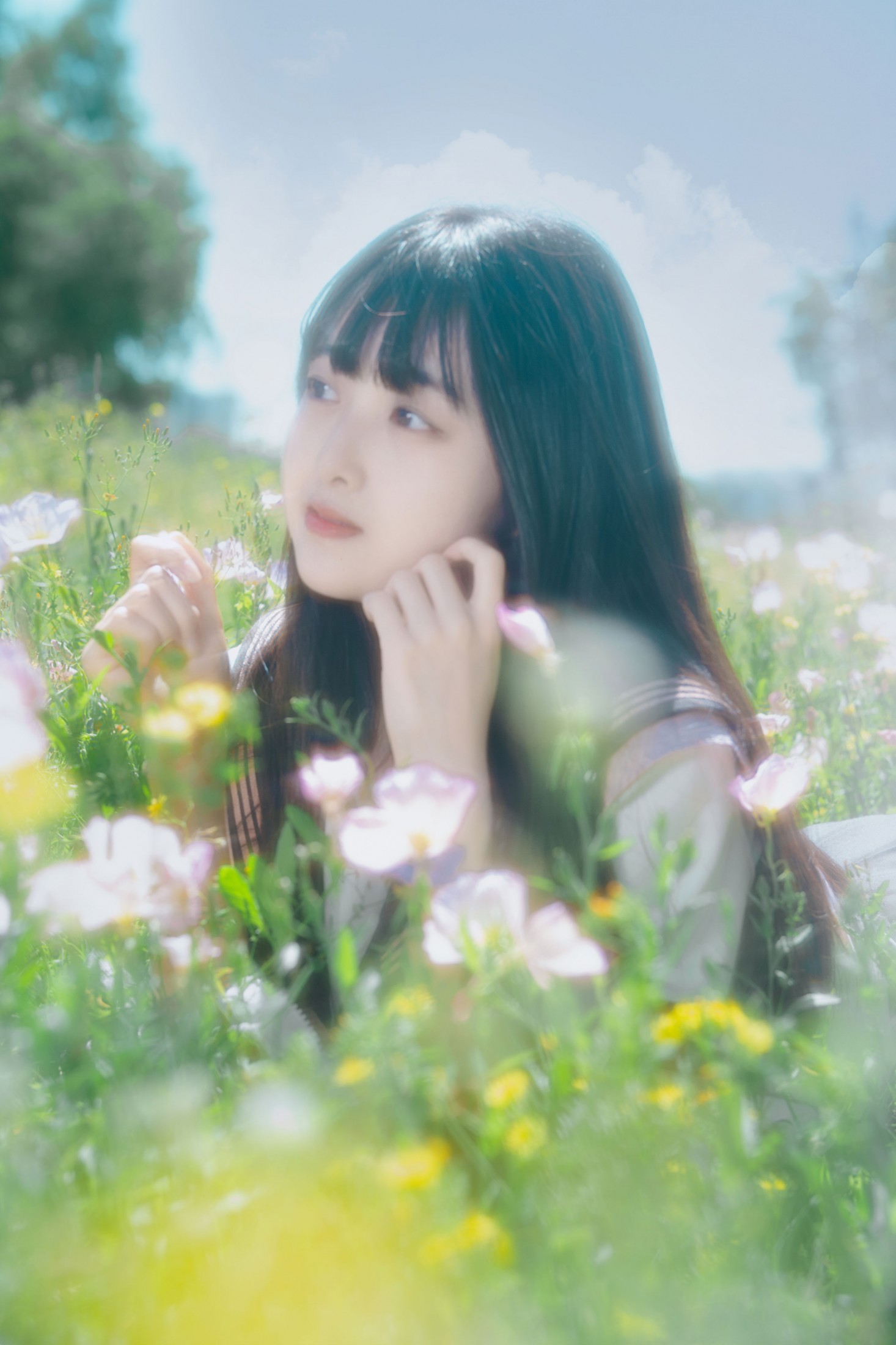 狸狸大饼 – 《幻境月见草之梦》[26P]