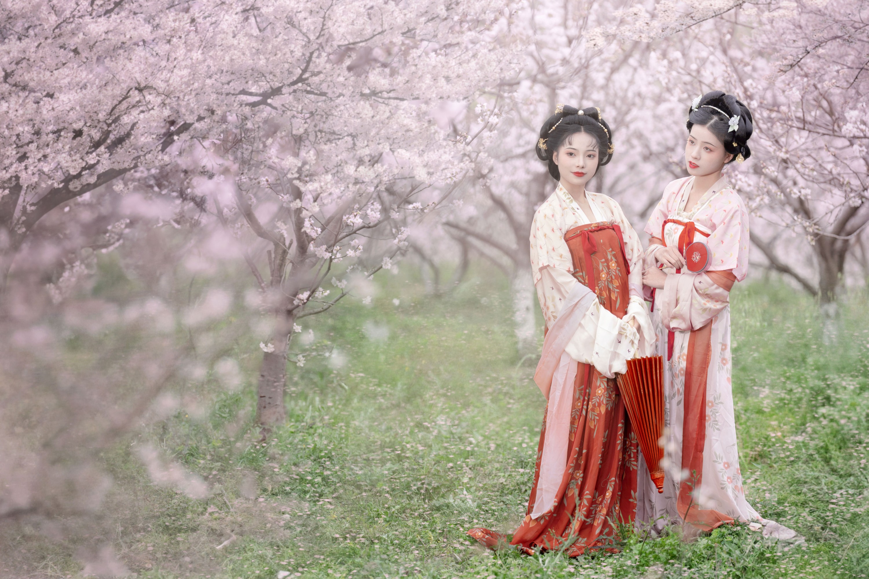 遥七不卖鸡毛菜 佳妃 – 《一朝春雨落·十里春花开》[9P] 插图4