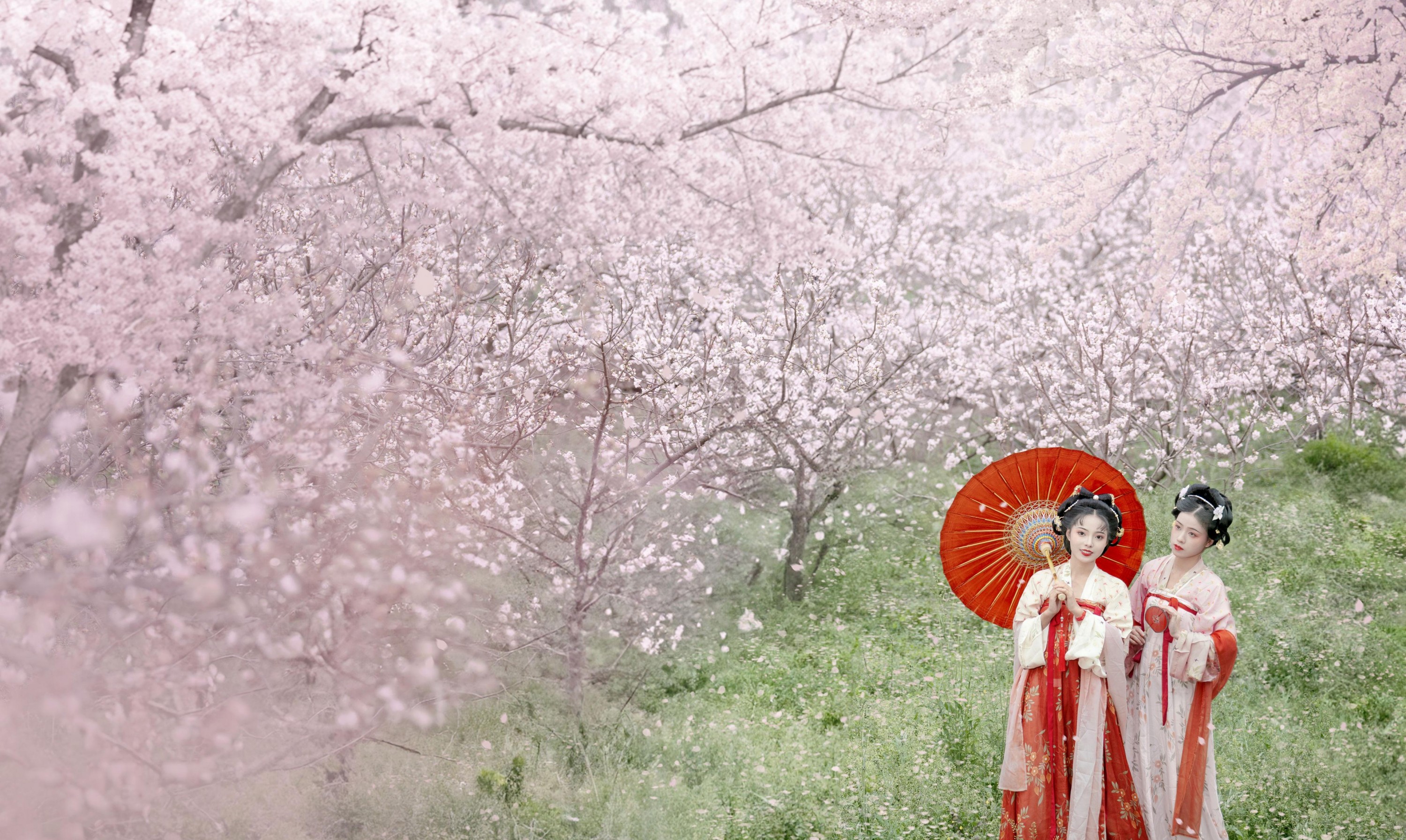 遥七不卖鸡毛菜 佳妃 – 《一朝春雨落·十里春花开》[9P] 插图2