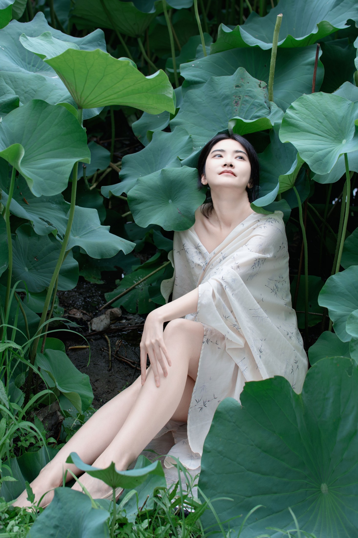 丹 – 《夏荷之殇》[32P]