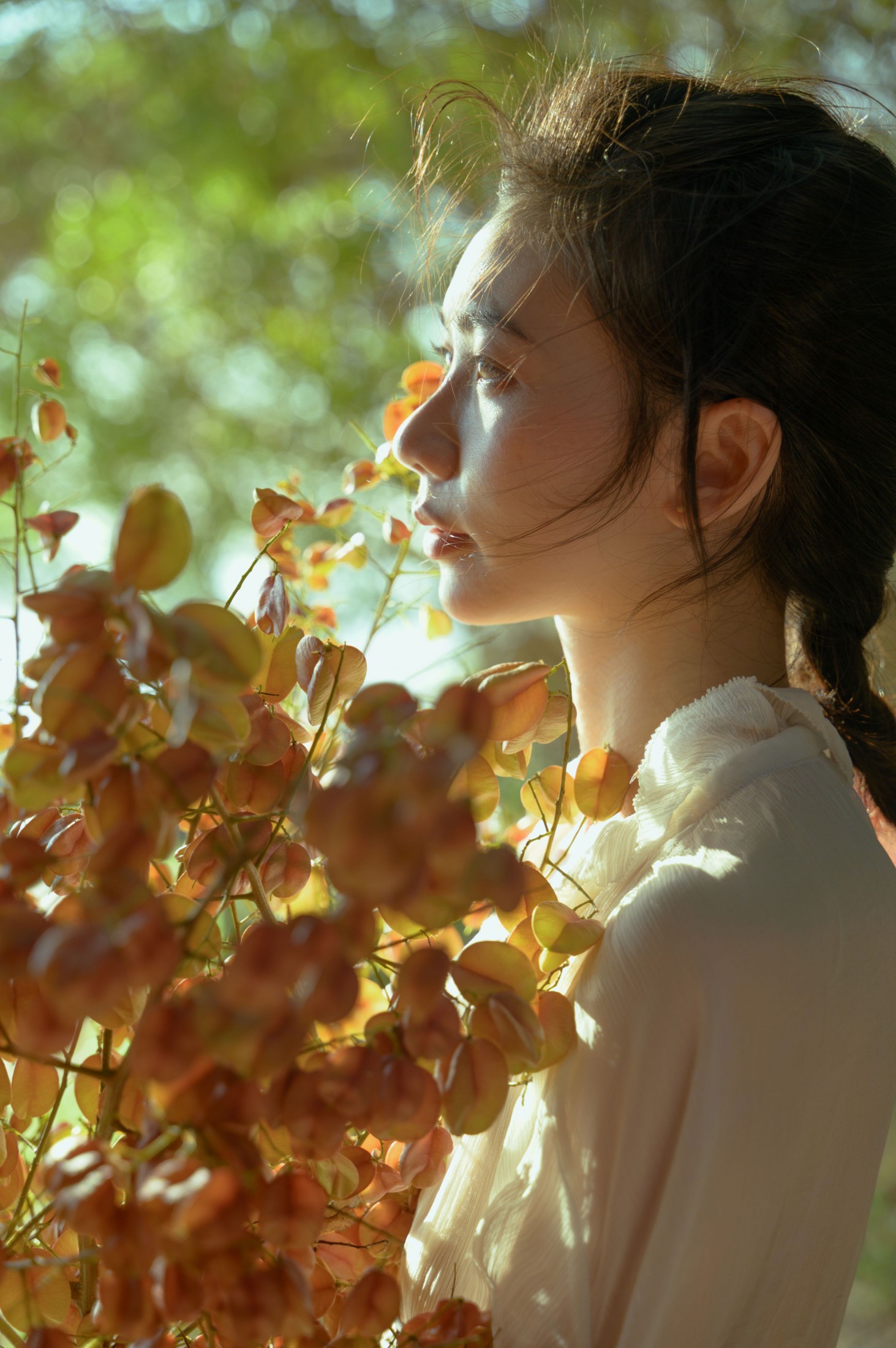 小张 – 《栾树的秋天》[42P]