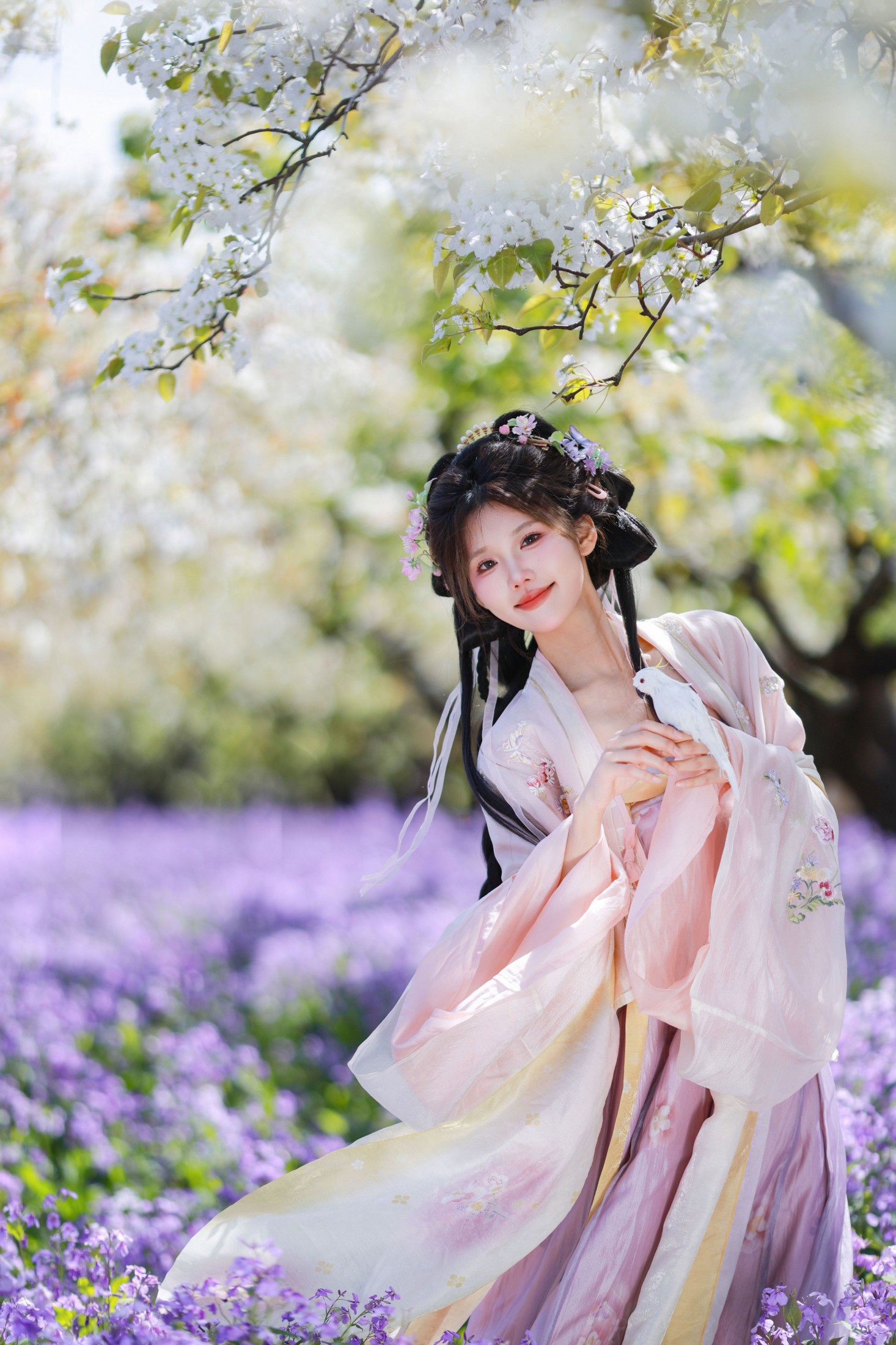 阿竹 – 《梨兰梦》[12P]