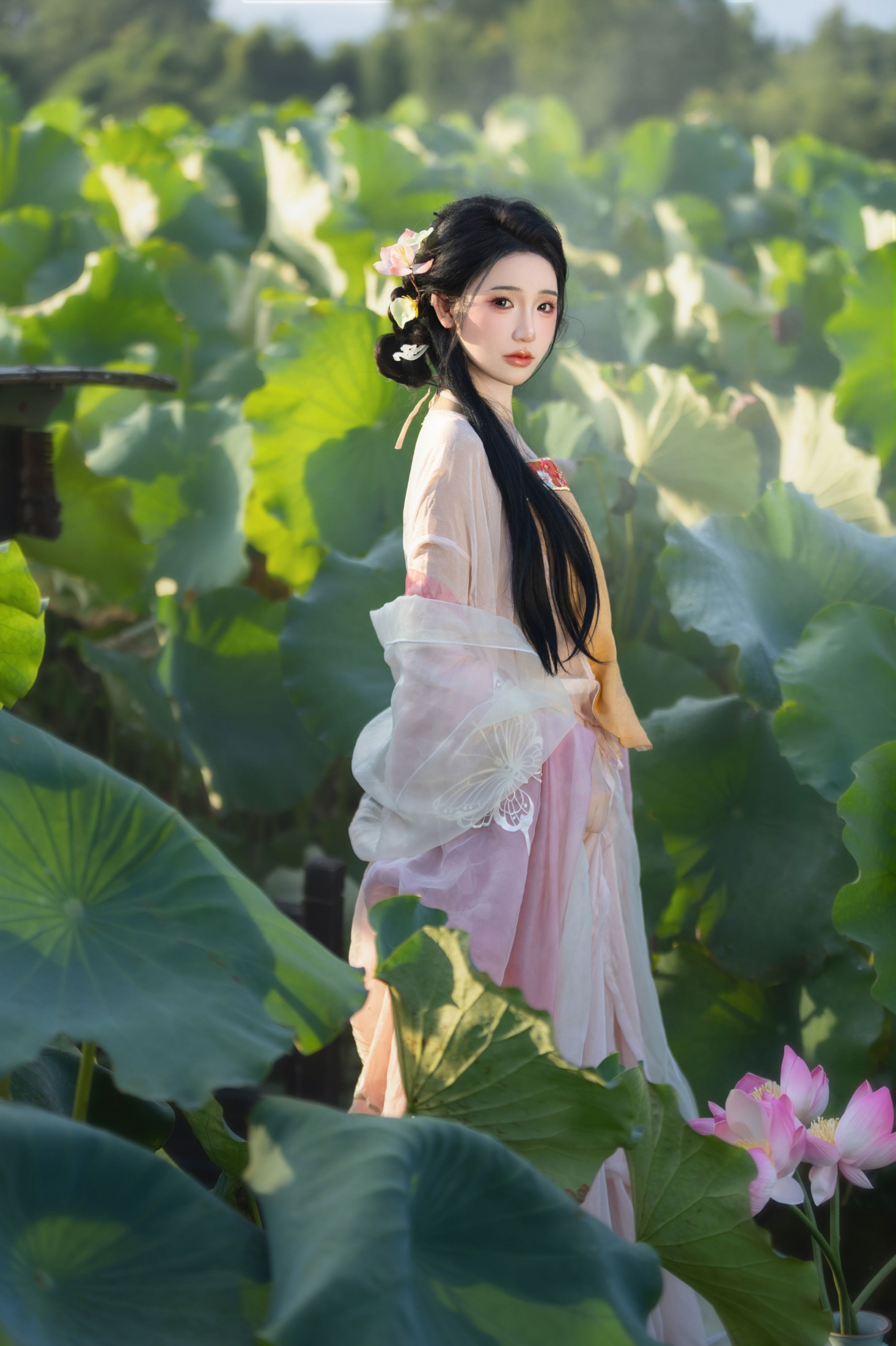  – 《荷香沁骨，美人入画》[13P] 插图4