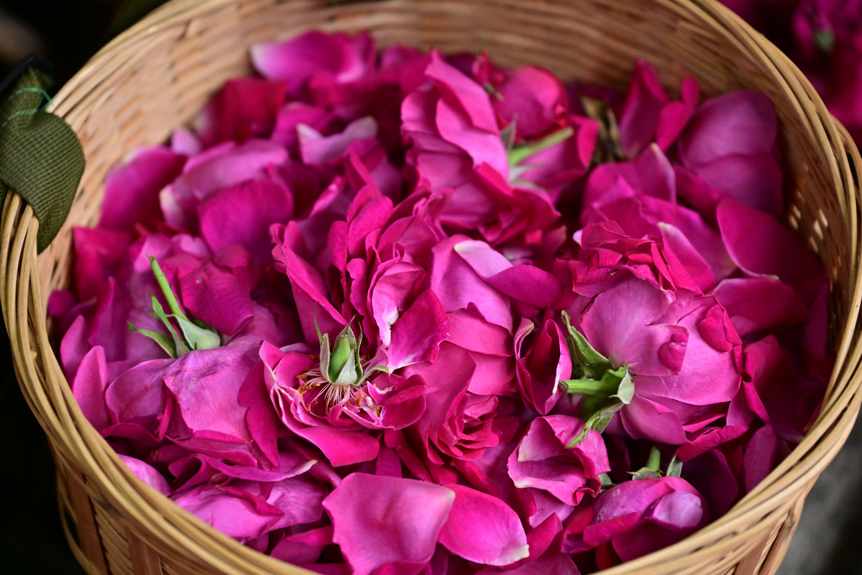 – 《鲜花饼店的玫瑰》[16P]