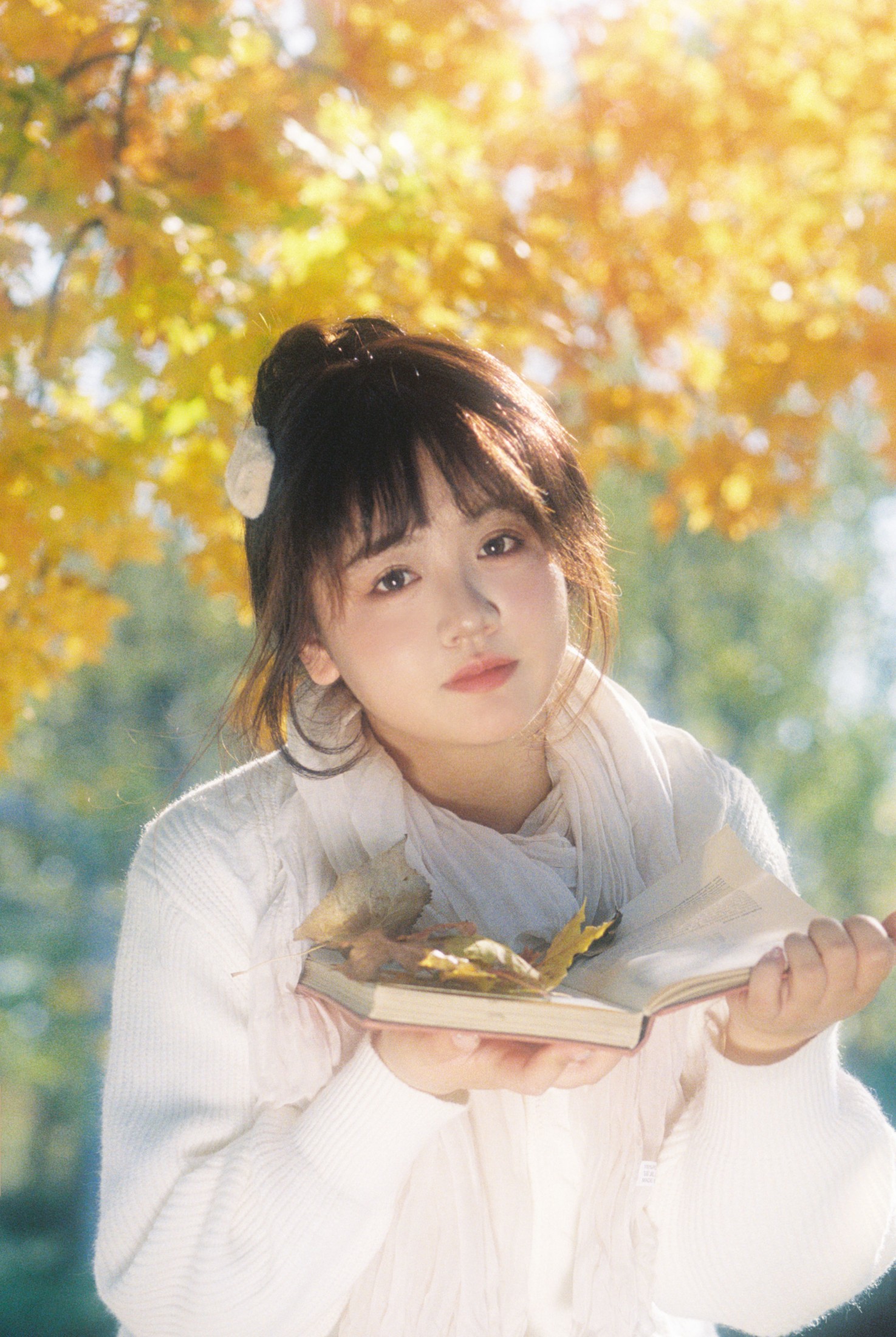 。 – 《在这个落叶像雪的季节》[11P]