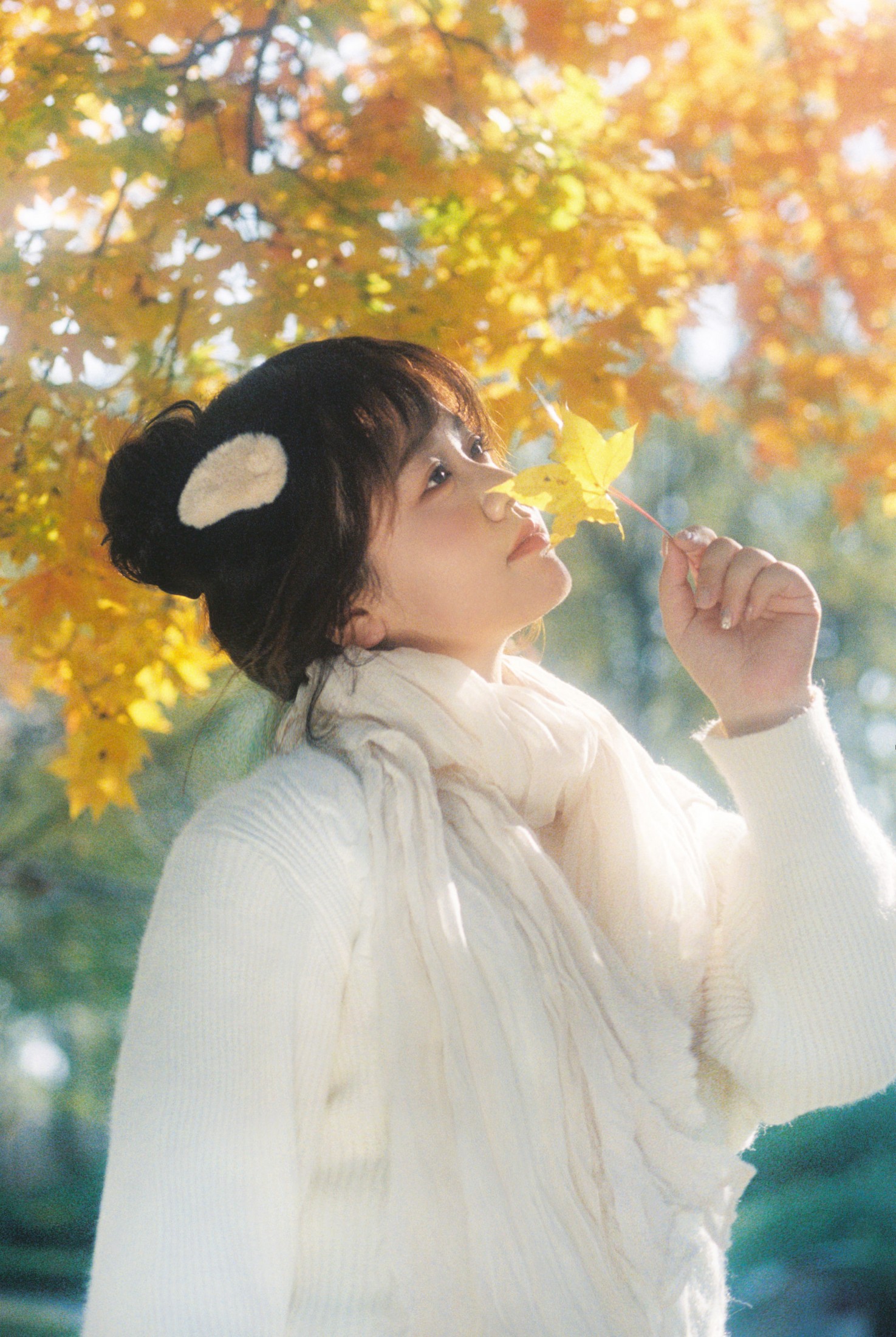 。 – 《在这个落叶像雪的季节》[11P]