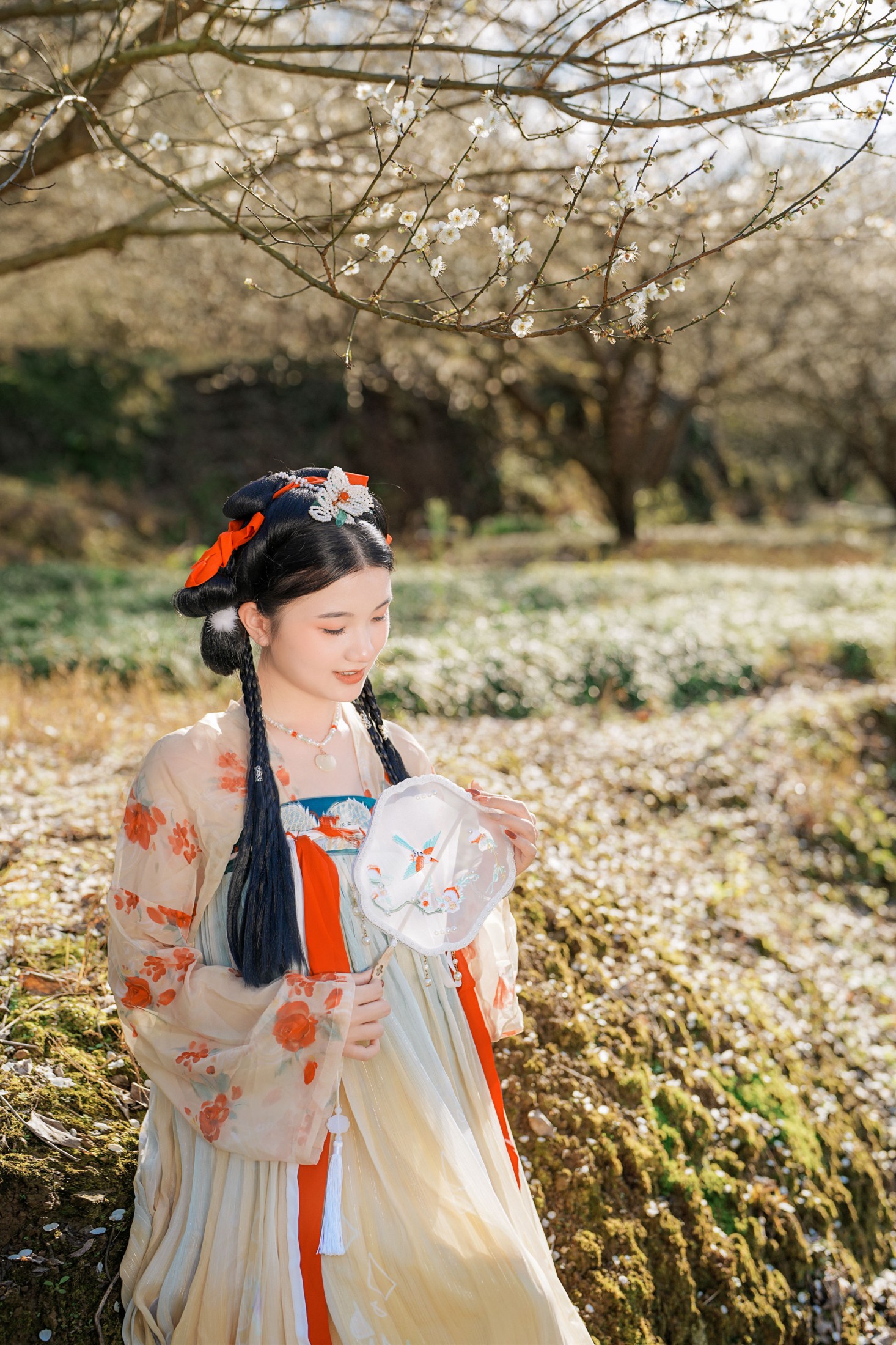 圆圆 – 《古风人像拍摄-梅花-圆圆》[20P]