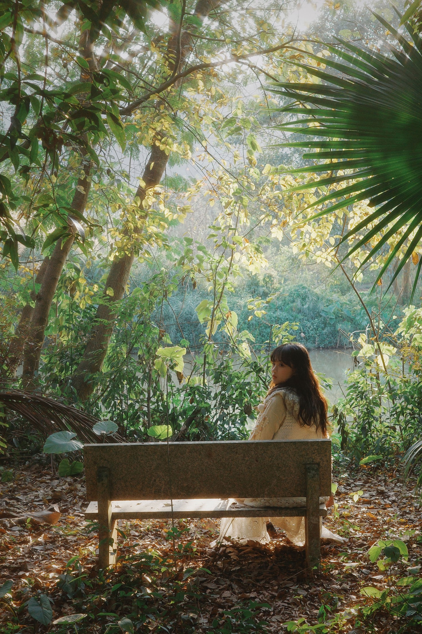 – 《森林梦核》[25P]