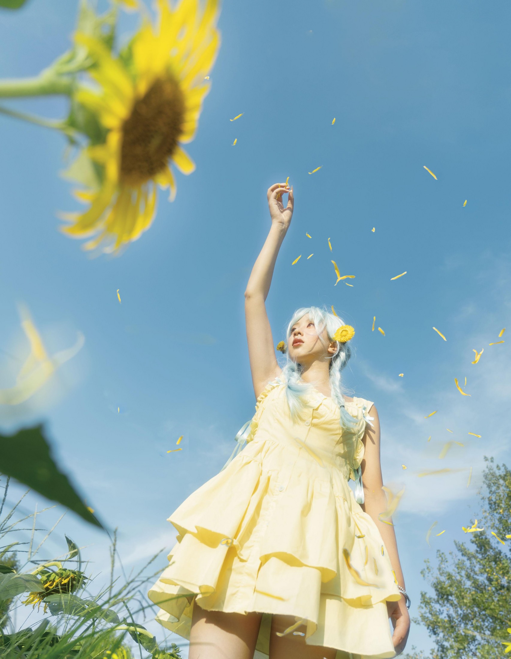 小u – 《向阳而生》[38P]