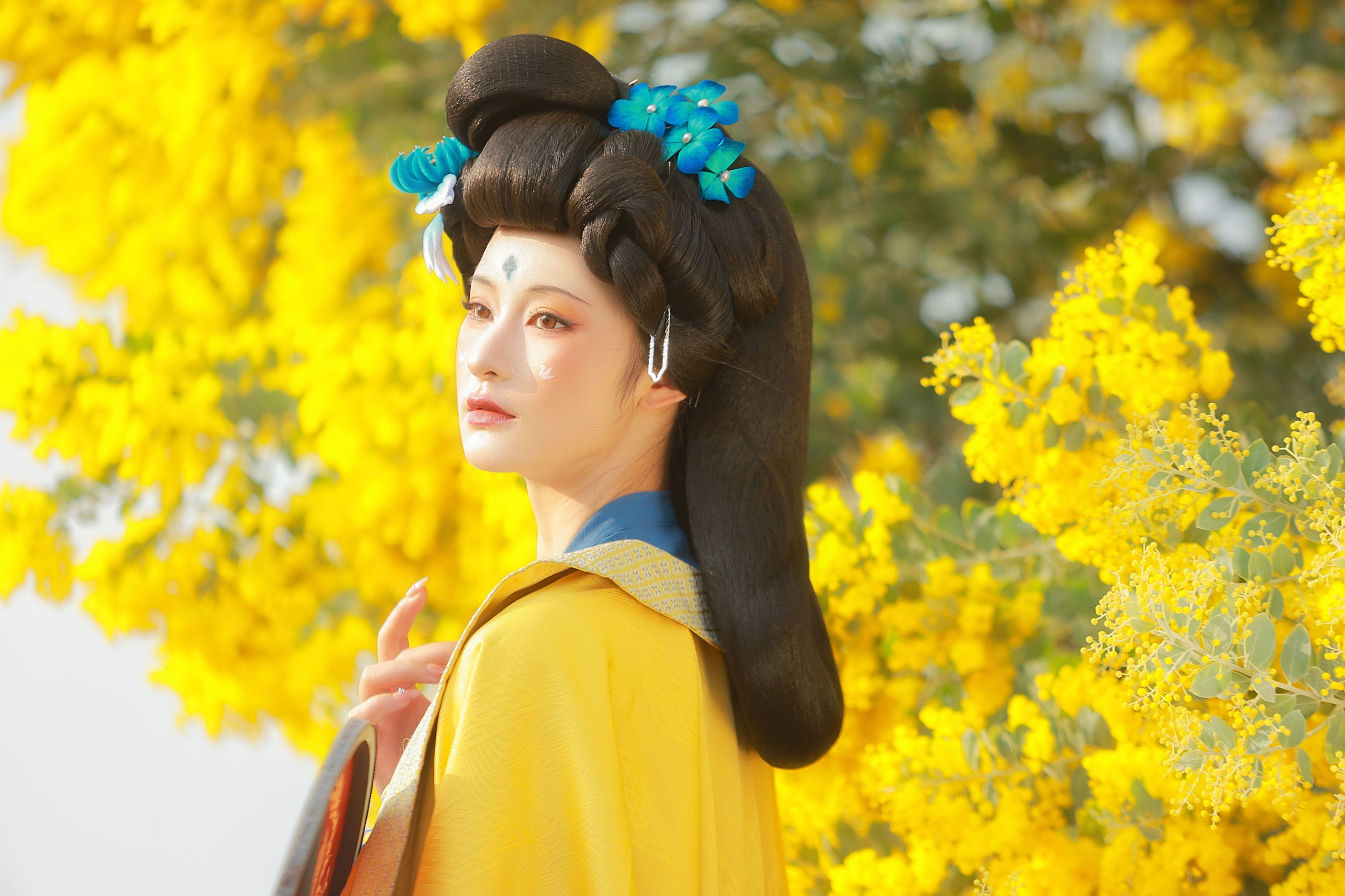 不听山 – 《唐 • 金合欢》[11P]