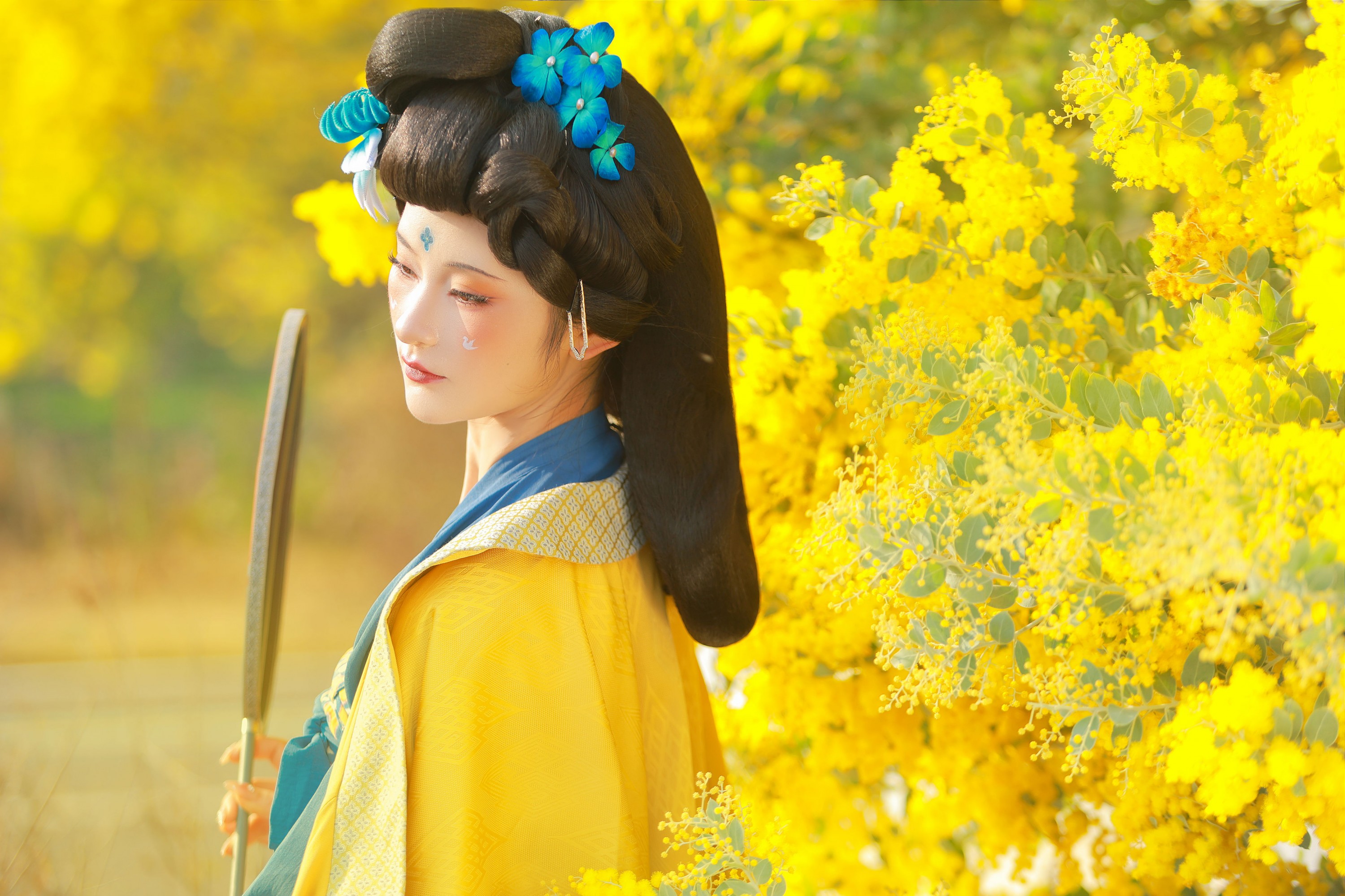 不听山 – 《唐 • 金合欢》[11P]