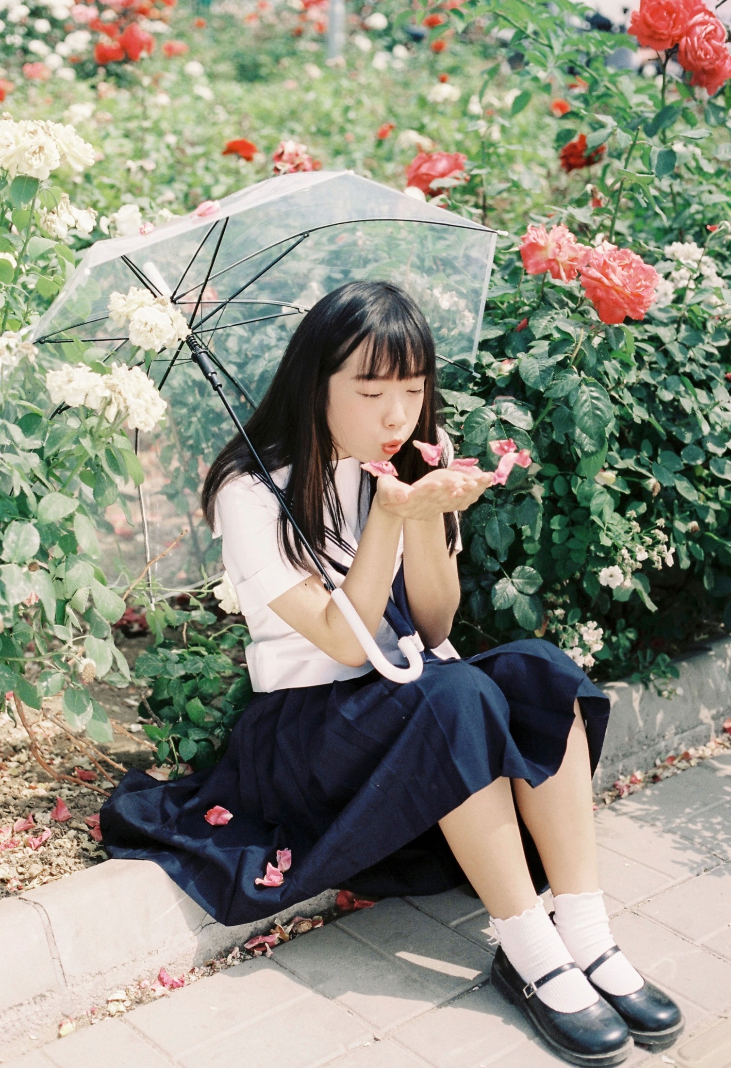 百变兔小樱 – 《花和制服少女》[13P]